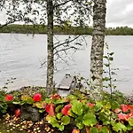 Tatil Evi Rock Saimaa Punkaharju