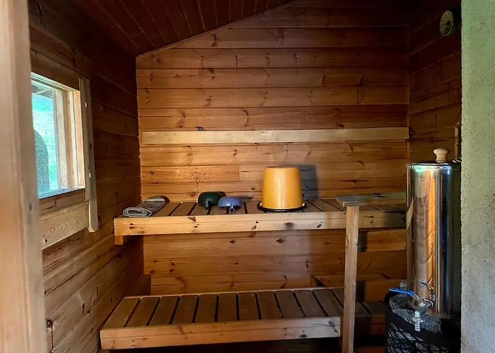 Ferienhaus Rock Saimaa Punkaharju